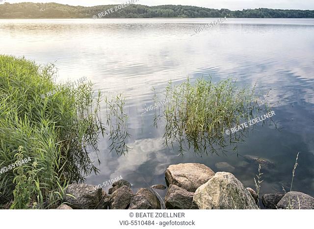 Sommerliche Morgenstimmung am Ufer der Schlei in der Naehe von Lindaunis - Lindaunis, Schleswig-Holstein, Germany, 24/07/2016