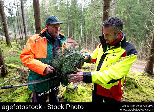 24 November 2023, Saxony, Eibenstock: Utz Hempfling (l), State Forestry President, and Clemens Weiser, Head of State Forestry Operations in the Eibenstock...