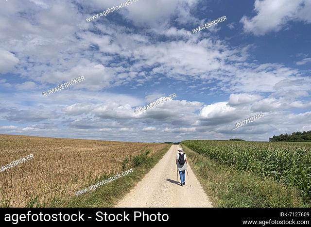 Hiker on a field path, cloudy sky, Bavaria, Germany, Europe
