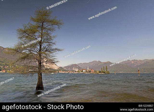 View of Isola dei Pescatori, Lake Maggiore, Borromean Islands, Piedmont, Isola Superiore, Lake Maggiore, Fishermen's Island, Fishermen's Island, Upper Island