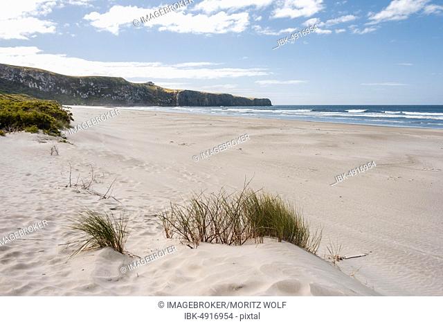 Coast with white wide sandy beach, Wickliffe Bay, Otago Peninsula, Dunedin, New Zealand, Oceania