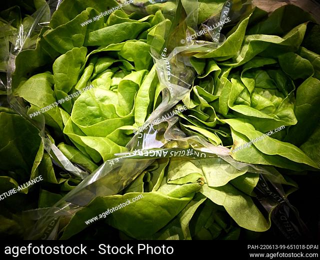 07 April 2022, Berlin: Lettuce packed in foil at Fruit Logistica, the international trade fair for fruit and vegetables, photographed on 07.04