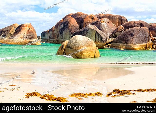 Elephant Rocks, huge cracked oval boulders, in William Bay National Park - Denmark, WA, Australia