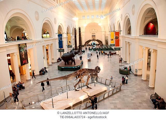 America, United States, Illinois, Chicago, The Field Museum of Natural History, Sue, the Tyrannosaurus rex fossil