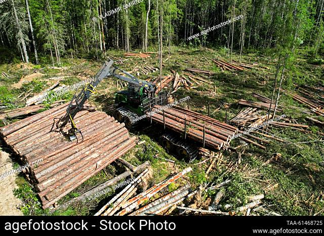 RUSSIA, VOLOGDA REGION - AUGUST 23, 2023: A lorry loads up at a timber site of Vozhega-Les, a logging company based in the village of Kadnikovsky and owned by...