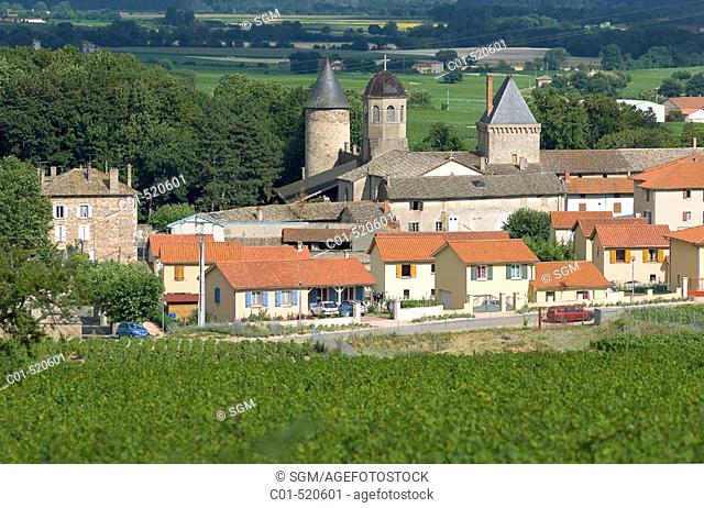 Vineyard and 'Saint-Lager' castle and vineyards. Beaujolais wine country. Rhone Valley. France