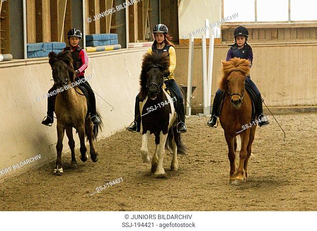 Islandic Horse. Children in a riding hall on Islandic Horses