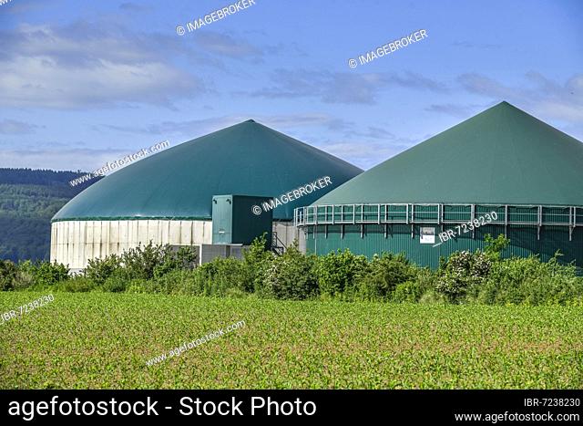 Biogas plant near Springe, Lower Saxony, Germany, Europe