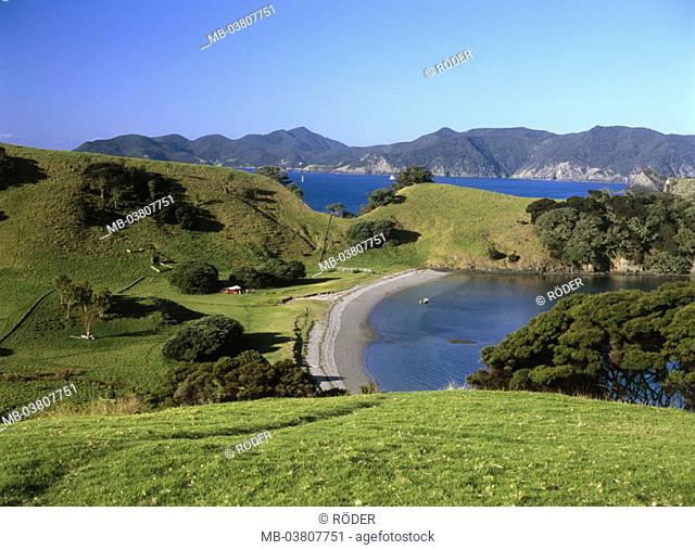 New Zealand, North island, Fuller's bay of  Iceland, island Urupukapuka,  New Zealand, North Iceland, sight, destination, destination, coast, Pacific coast