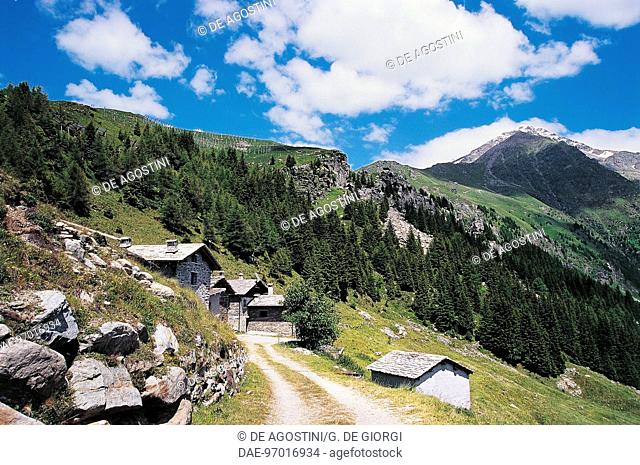 Housing near Campodolcino, with Pizzo Groppera in the background, Lombardy, Italy