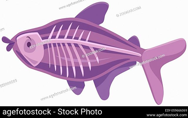 Cartoon Illustration of Funny X-ray Fish Animal Character