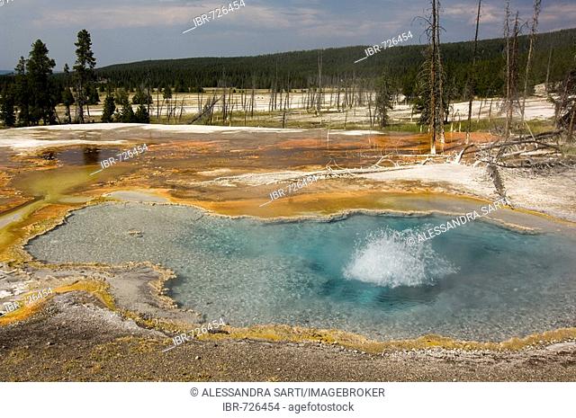 Firehole Spring in Lower Geyser Basin, Yellowstone National Park, Wyoming, USA