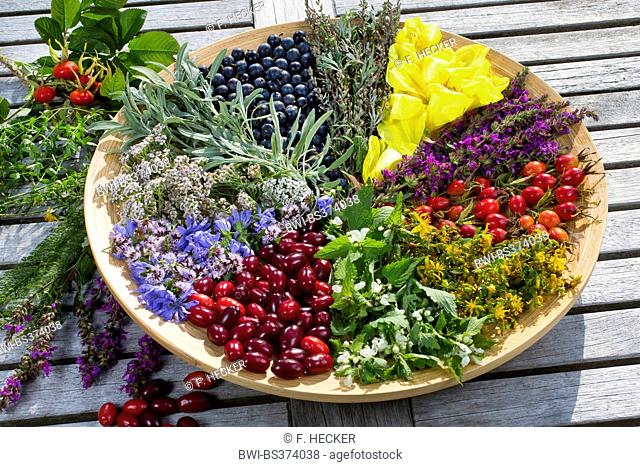 platter with late summer flowers and fruits , Germany