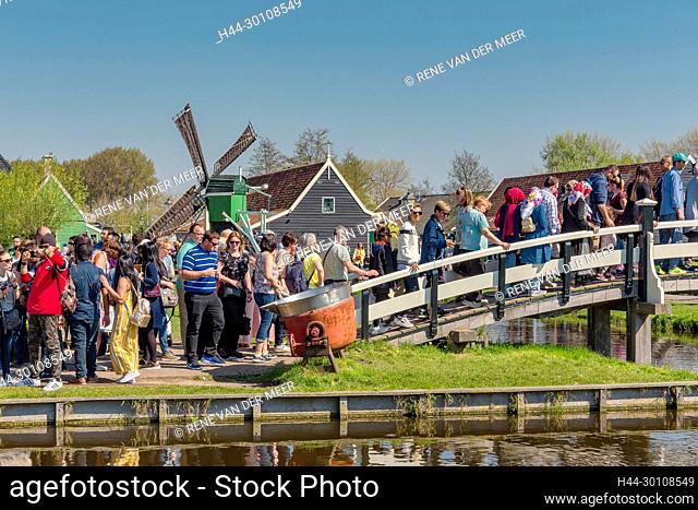 Mass tourism at the Zaanse Schans