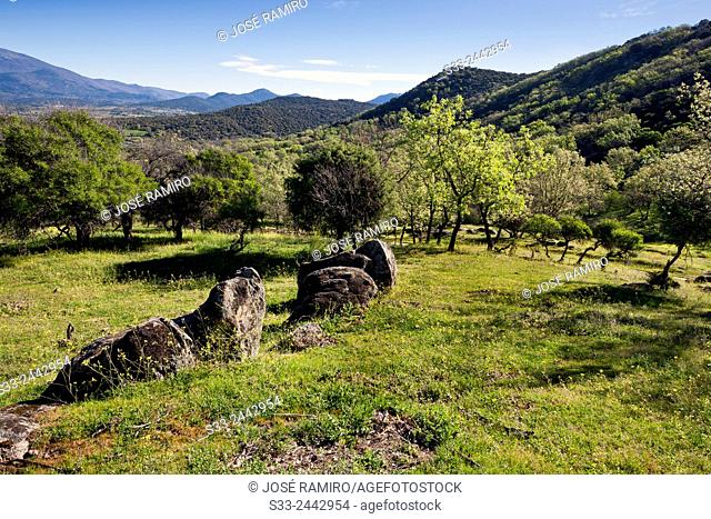 Sierra de la Higuera in Higuera de las Dueñas. Avila. Castilla Leon. Spain. Europe