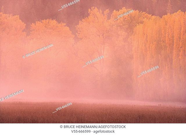 Sunset in fog with autumn trees and pasture along. Coeur d'Alene River. Idaho. USA