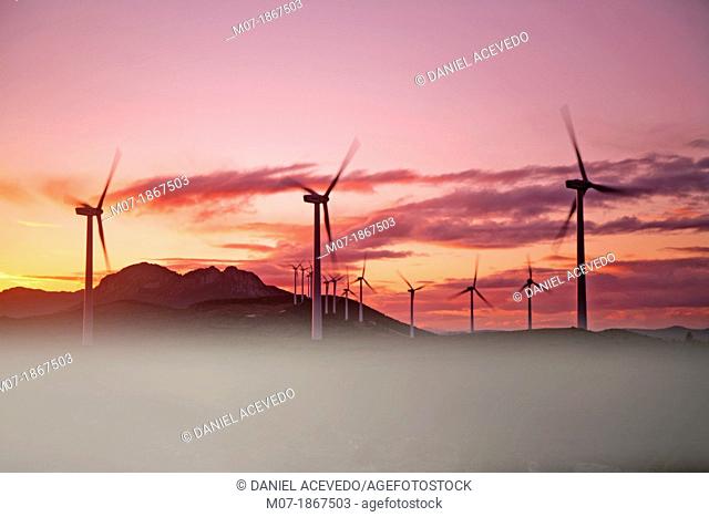 sunset picture by Eolic park, wind power, wind energi, Codes mountains, Navarra, Spain, Europe