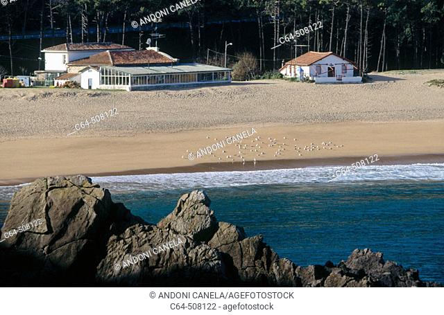Laga beach (Lagako hondartza), Urdaibai (Gernika estuary) Biosphere Reserve. Biscay, Euskadi, Spain