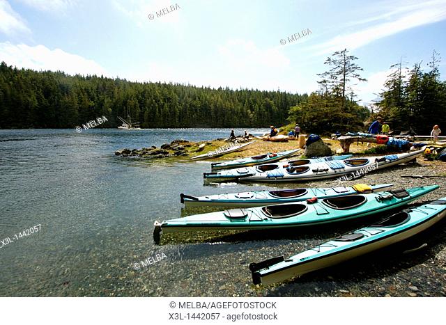 Kayaks in Johnstone strait  Vancouver island  British Columbia  Canada
