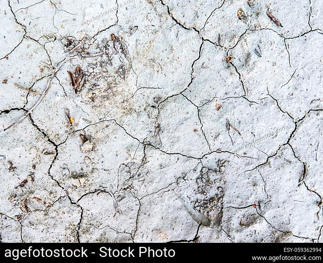 Abstract Close-Up Of Dry Cracked Ground In A Desert Area