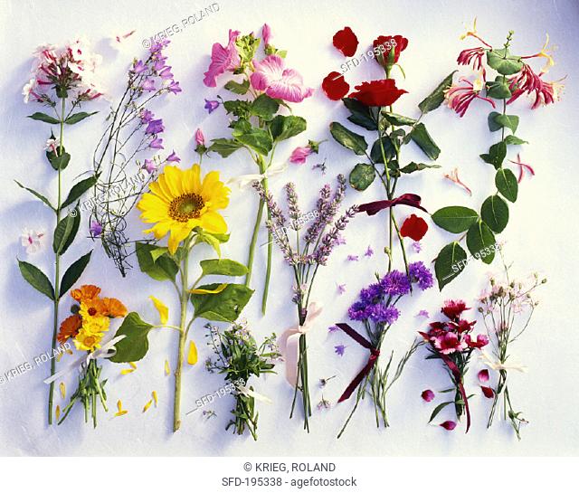 Various summer flowers, clearly arranged