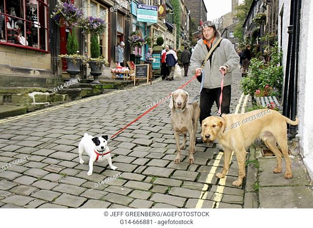 UK, England, North Yorkshire, Haworth, Main Street, dogwalker, cobblestone, dogs, leash