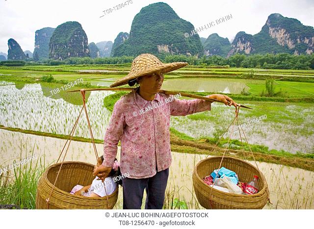 China, , Yangshuo, countryside and rice fields: farmer