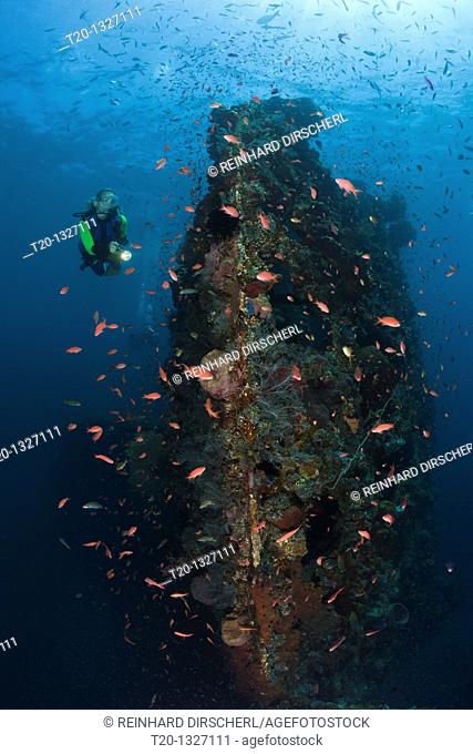 Scuba Diver at Liberty Wreck, Tulamben, Bali, Indonesia