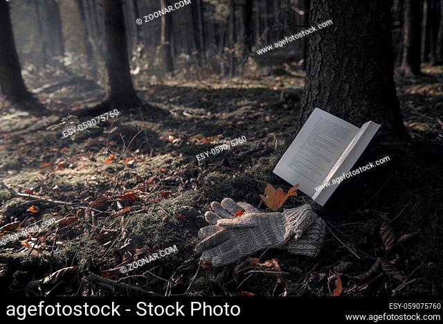 Reading outdoor concept with an open book leaned on a tree trunk and gloves on moss, in shadow, surrounded by orange autumn leaves