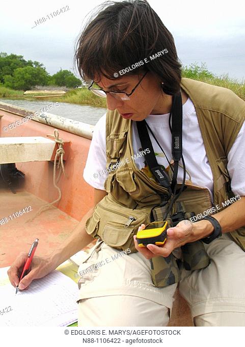 Scientist tracking migratory and resident birds with the aid of GPS, Laguna de Unare, Anzoategui, Venezuela