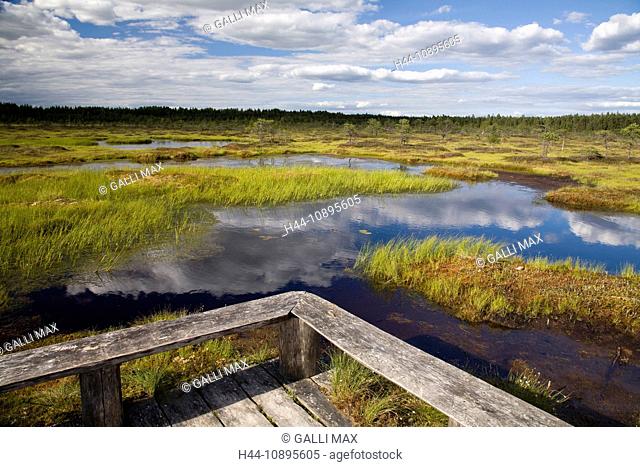 Baltic States, Estonia, Europe, scenery, moor, national park, nature, nature reserve, park, Soomaa, Soomaa national park, marsh