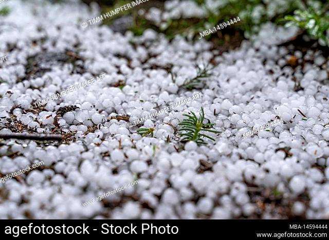 Europe, Germany, Southern Germany, Baden-Württemberg, Black Forest, Hailstones after a summer thunderstorm in the Black Forest