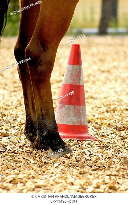 A Horse (equi) is standing in front of an marker