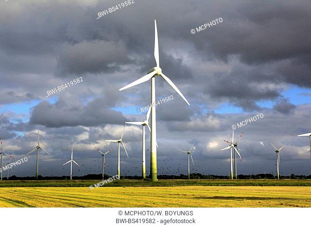 wind wheels with rape field and approaching thunderstorm, Germany, Lower Saxony, East Frisia
