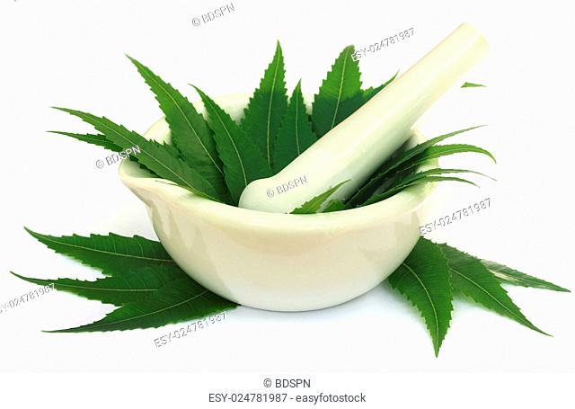 Mortar and pestle with medicinal neem leaves over white background