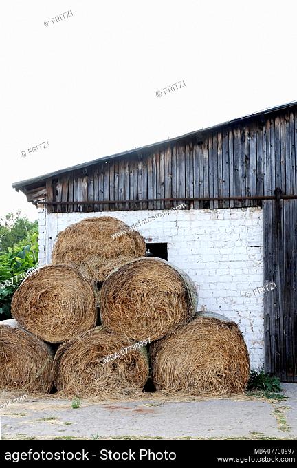Straw bales, straw, straw rolling, barn