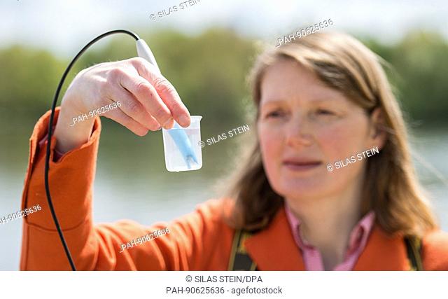 Bettina Tecklenburg, hygiene inspector of the region Hanover measures the pH value for a water sample from the Altwarmbuechener lake in Hanover, Germany