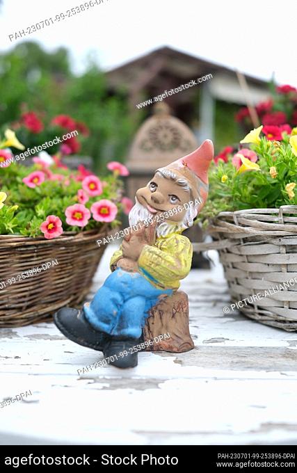 01 July 2023, Saxony, Leipzig: A garden gnome on a decorated table in a plot of the allotment garden association Schreber-Hauschild e. V