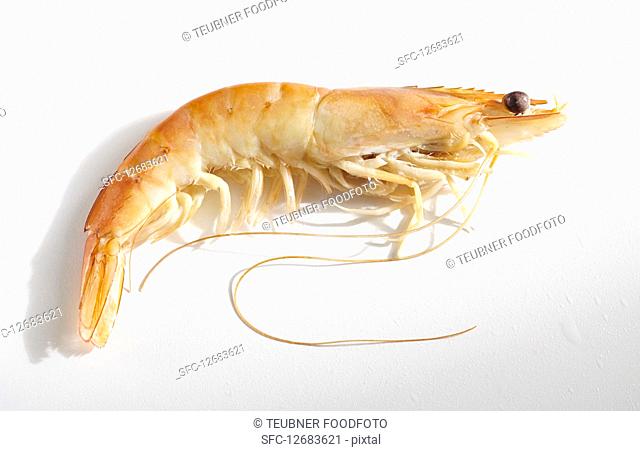 Cooked prawn on a white surface