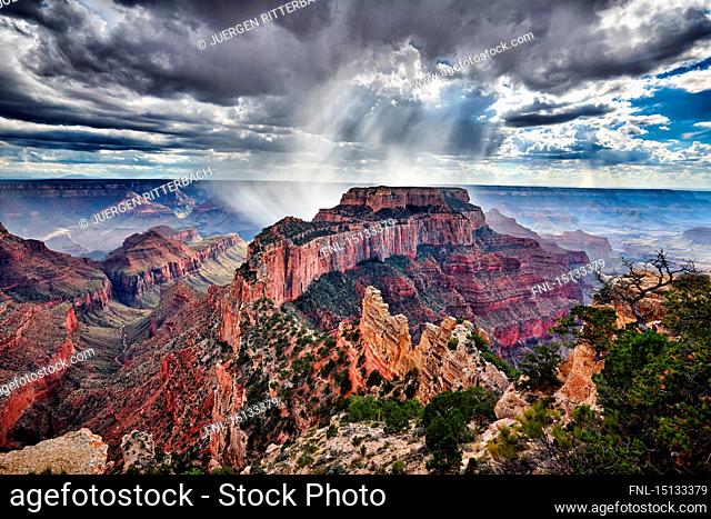 Noth Rim, Grand Canyon, Grand Canyon National Park, Arizona, USA