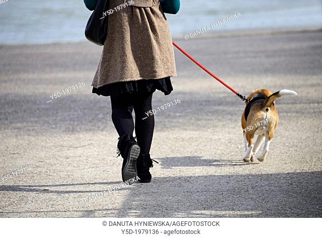 woman walking with a dog on a leash, , beagle - pure breed, riverside of Seine, Paris, France