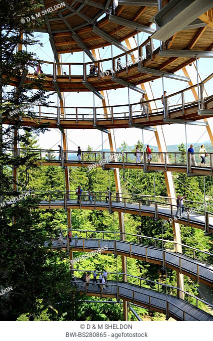 a lot of visitors on the spiral way of the viewing tower of the tree top walk in National Park Bavarian Forest, Germany, Bavaria, Bavarian Forest National Park