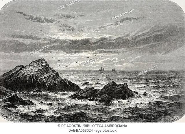 The rocks called Seal Rocks in the Pacific Ocean, near Santa Clara, California, United States of America, drawing by Theodor Alexander Weber (1838-1907) from a...