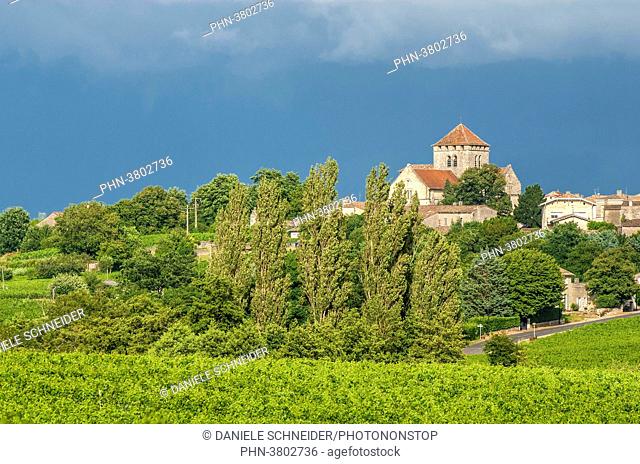 France, Gironde, Montagne, St Martin church appearing from the AOC St-Georges-St-Emilion vineyard