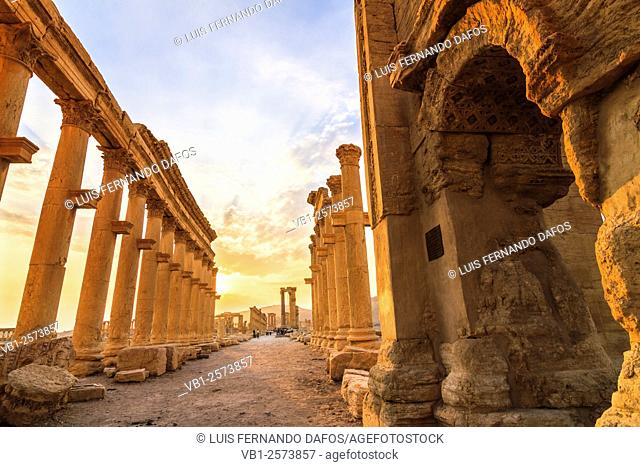 Great Colonnade at sunset. Palmyra, Syria