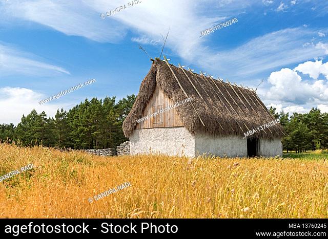thatched sheep hut, Sweden, Farö island
