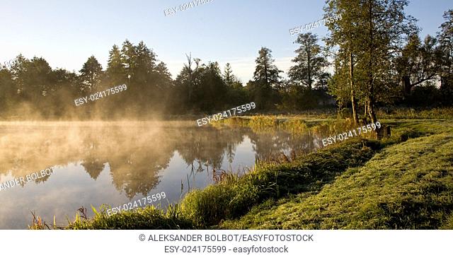 Early morning fog over calm water of pond, Bialowieza, Palace park, Poland, Europe