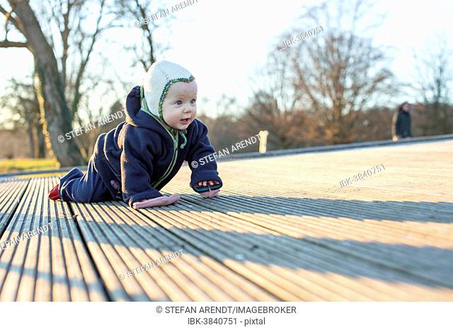 Baby, 9 months, crawling over a wooden floor, Konstanz, Baden-Württemberg, Germany
