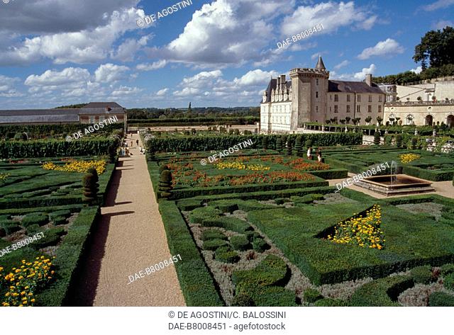 French formal garden, Chateau de Villandry, Loire Valley (UNESCO World Heritage List, 2000), Centre-Val de Loire. France, 16th century