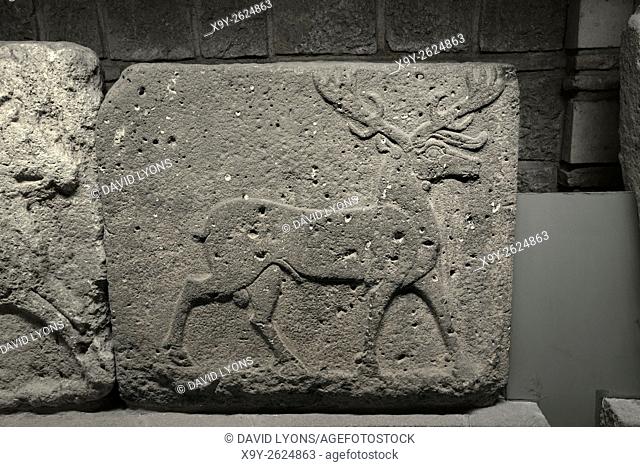 Stag deer with antlers. Basalt carving from Carchemish 8C BC. Museum of Anatolian Civilizations, Ankara, Turkey